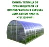 Купить теплица от производителя из поликарбоната в бердске цена 