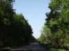 Уменьшенная картинка