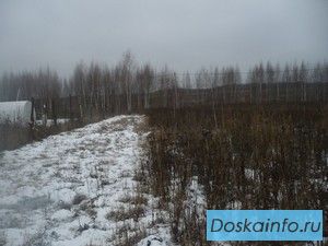 Продаю земельный участок 8.34 сотки, Подмосковье