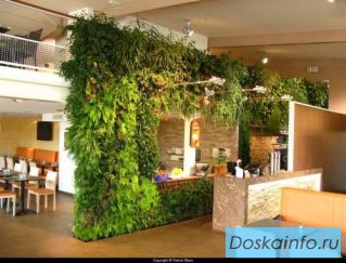 Фитодизайн       и       озеленение                  от студии 'GardenCity'             