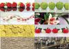Уменьшенная картинка