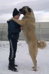 Уменьшенная картинка