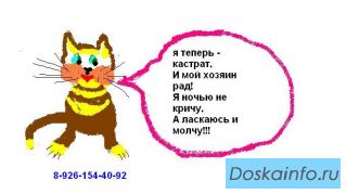 Кастрация котов, кобелей,удаление зубов  недорого