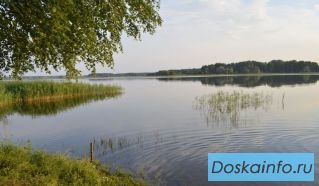 Коммерческий участок