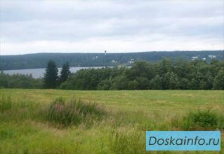 Куплю               участок     в д. Малые Бережки            