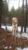 Уменьшенная картинка