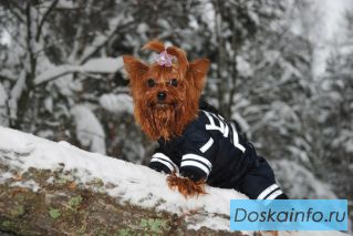 Качественная и стильная одежда для Ваших любимых!
