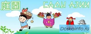 Семена и растения в магазине «Сады Азии»