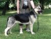 Уменьшенная картинка
