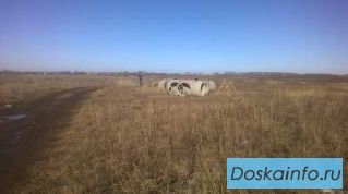 Продам участок 10 соток ИЖС.
