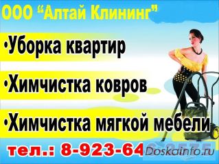 Профессиональная чистка ковров и мягкой мебели на дому