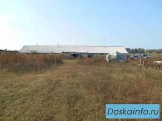 Куплю участок 5000 кв.            м. (пром. назначения)