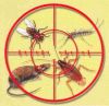 Уменьшенная картинка
