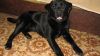 Уменьшенная картинка