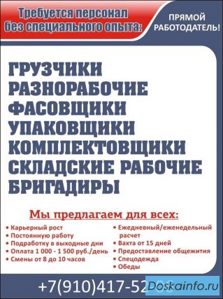Требуются работники без опыта. Рассмотрим всех
