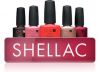 Гель лаки оптом и в розницу. CND, BlueSky Shellac.