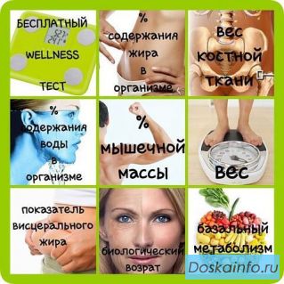 Бесплатный анализ состава тела-Wellness тест