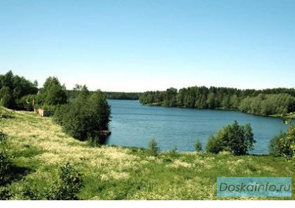 Участок 12 соток в Рощино