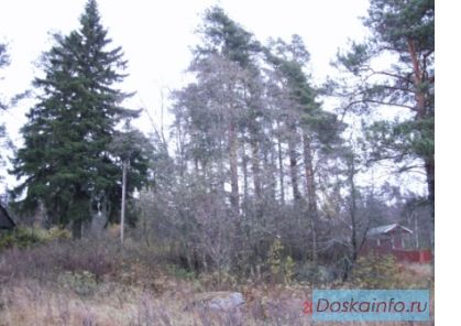 Участок 7 соток пос. Глубокое, Выборгский р-н