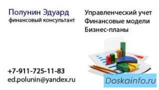 ФИНАНСОВЫЙ КОНСУЛЬТАНТ, Учет,        Затраты