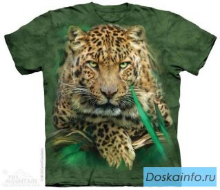 Футболки с 3D рисунком