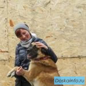 Бесплатная консультация                кинолога-зоопсихолога!