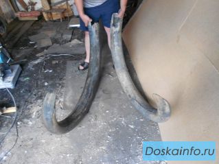 Куплю бивни мамонта дорого