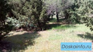 Продам свой участок 5 сот. ИЖС 300 м. от моря г. Алушта