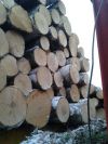 Постоянно покупаем фанкряж, балансы хвойные и лиственные