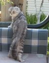 Уменьшенная картинка