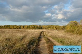 Земля 90ГА с фермой и жилым домом в 250 км от Москвы