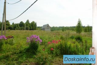 Сдам или продам земельный участок 20ГА в 250 км от Москвы