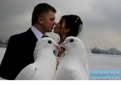 Cвадебный фотограф