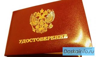 Ревизор-Проверяющий