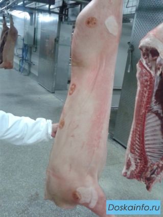 Свинина,говядина полутуши оптом