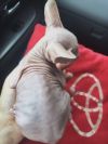 Уменьшенная картинка