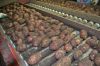 Уменьшенная картинка