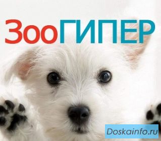 Зоотовары, товары для животных