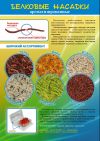 Уменьшенная картинка