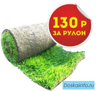 Рулонный газон производство