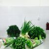 Уменьшенная картинка