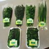 Уменьшенная картинка