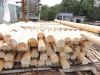 Уменьшенная картинка