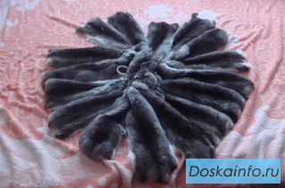 Шкурки шиншиллы