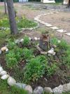 Уменьшенная картинка