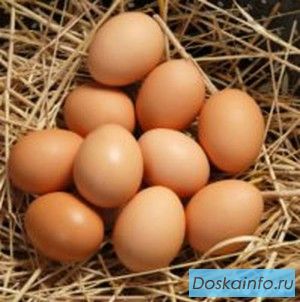 Яйца деревенские!
