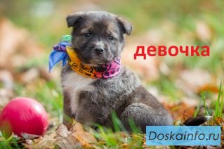 Самостоятельные карапузы 