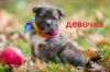 Уменьшенная картинка