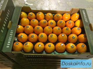 Продаем хурму 