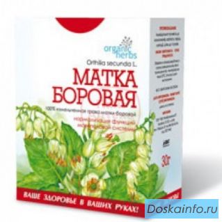 Боровая матка - известное средство от женских недугов